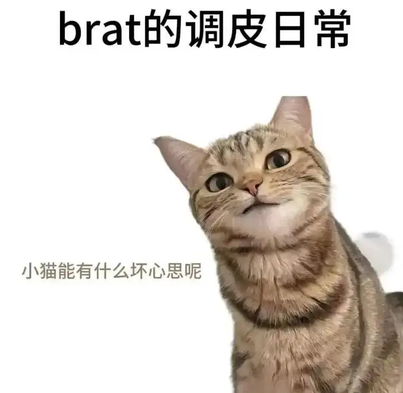 【西檬之家】Sp是什么？字母圈新人入圈必知的Sp实践指南