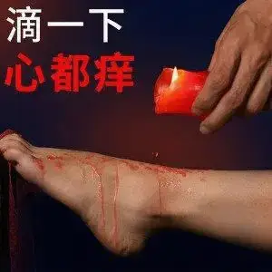 DS关系 - 2025-11-13 232552