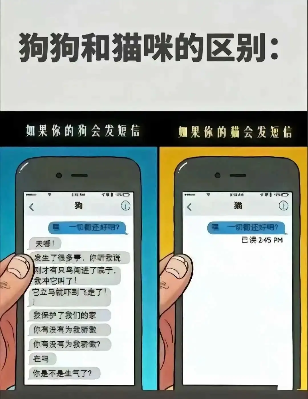 西檬之家-BDSM新人入圈指南，从基础术语到安全原则全解析