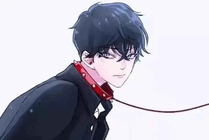 西檬之家-字母圈新人入门完全指南