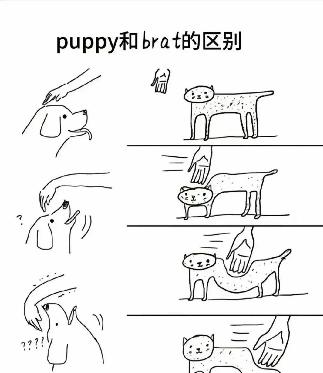神秘字母圈全面指南：认识BDSM中的PE权力交换机制