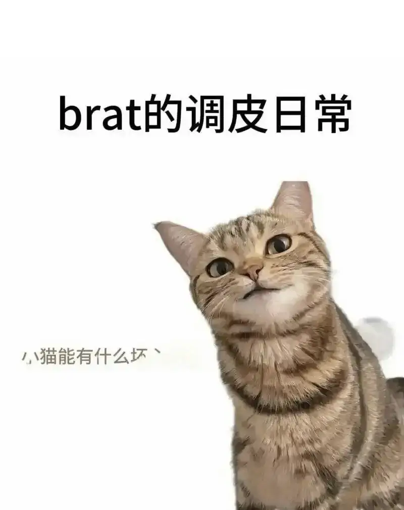 管教 - 2025-11-13 192048