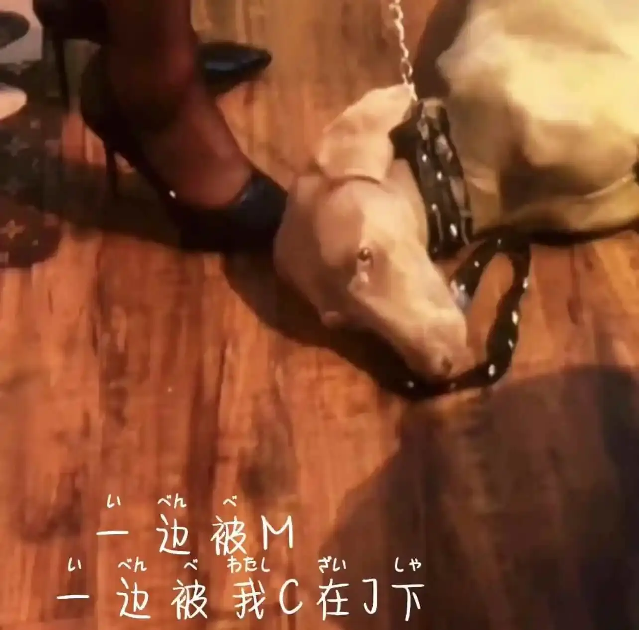 Spank：实用指南